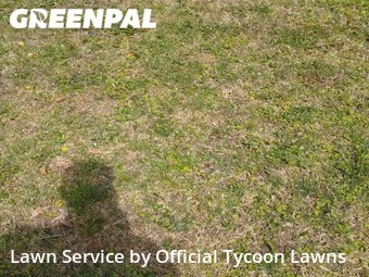 Grass Cutting nearby De Land, FL, 