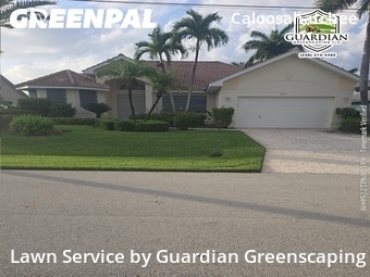 Lawn Care nearby Cape Coral, FL, 