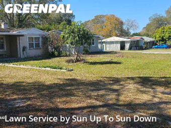 Grass Cut nearby St. Petersburg, FL, 