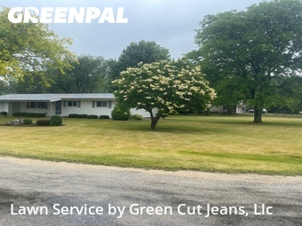 Lawn mowed in Belvidere, 61008
