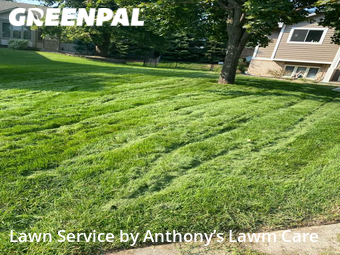 Lawn Cutting nearby Maple Grove, MN, 