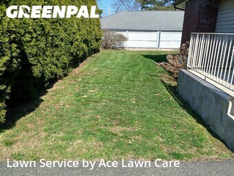 Grass Cut nearby Fairfield, CT, 