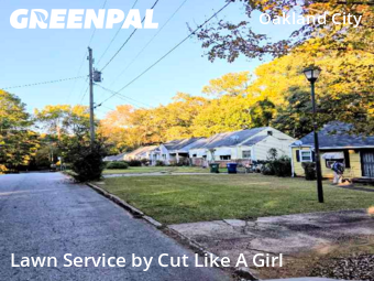 Landscaping Maintenance In Atlanta,30310,Landscaping Installation by Cut Like A Girl , work completed in Nov , 2025