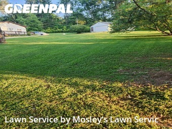 Lawn Service nearby Clarksville, TN, 