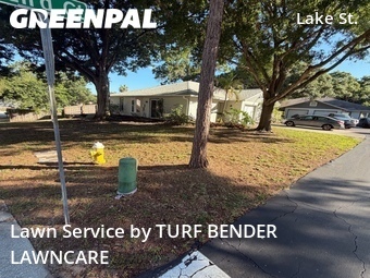Lawn Cut nearby Palm Harbor, FL, 