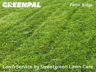 Lawn Service nearby Pittsburgh, PA, 