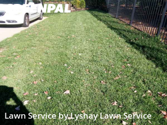 Lawn Cut nearby Fort Mill, SC, 
