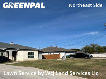 Lawn mowed in Selma, 78154