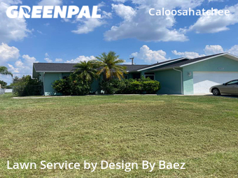 Lawn Cut nearby Cape Coral, FL, 