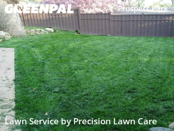 Lawn Care nearby Minneapolis, MN, 