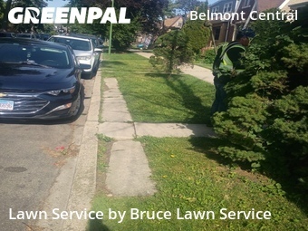 Lawn Care Service nearby Chicago, IL, 