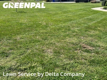 Yard Mowing nearby Bowling Green, KY, 