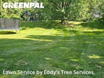 Lawn Cut nearby Rockford, MI, 