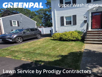 Property Maintenance in Boston, 2132, Weekly Mowing by Prodigy Contractors , work completed in Nov , 2025