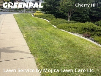 Lawn mowing work completed in Rocklin, CA