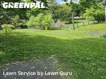 Grass Cutting nearby Minneapolis, MN, 