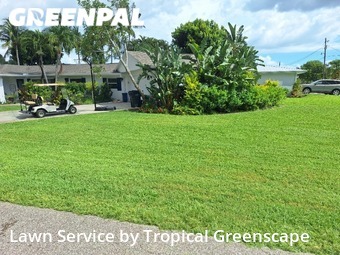 Lawn Cut nearby Fort Myers, FL, 
