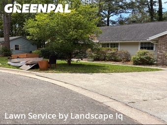 Lawn Cut nearby Gainesville, FL, 