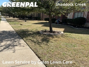 Lawn Care Service nearby Frisco, TX, 
