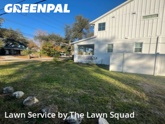 Lawn Maintenancein Clearwater,33755,Lawn Cutting by The Lawn Squad, work completed in Jan , 2026