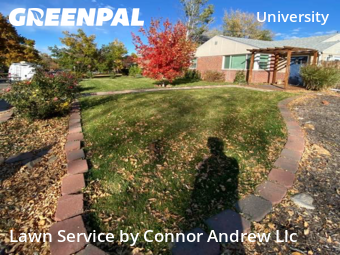 Grass Cut nearby Denver, CO, 