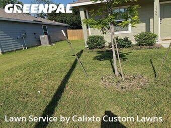 Grass Cut nearby Dallas, TX, 