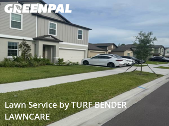 Grass Cut nearby Land O'lakes, FL, 