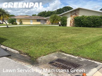 Turf Services in Royal Palm Beach, 33411, Turf Services by Madissons Green, work completed in Nov , 2025