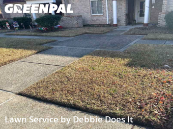 Yard Care in Norfolk, 23505, Yard Grooming by Debbie Does It, work completed in Dec , 2025