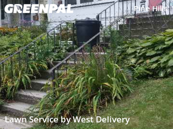 Lawn Mow nearby Albany, NY, 