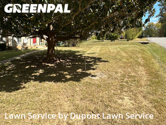 Grass Cutting nearby Clarksville, TN, 