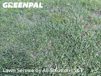 Lawn Cutting nearby Winter Haven, FL, 