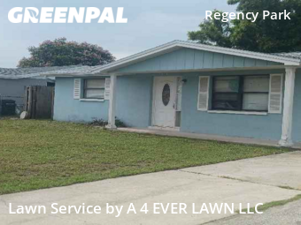 Lawn Cut nearby Port Richey, FL, 