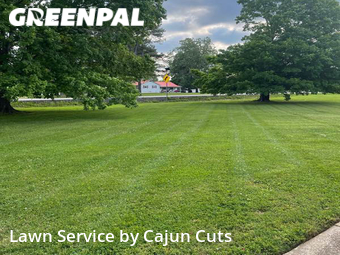 Lawn Maintenance nearby Murfreesboro, TN, 