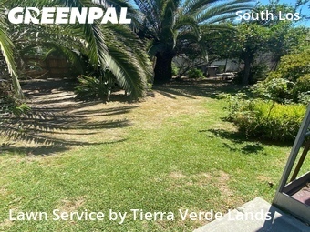 Grass Cut nearby Los Angeles, CA, 