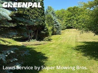 Lawn Service nearby Williamston, MI, 