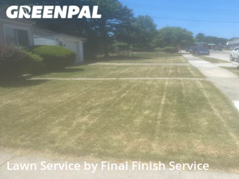Lawn Care Service nearby Royal Oak, MI, 