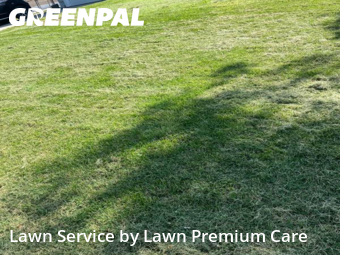 Yard Cutting nearby Yutan, NE, 