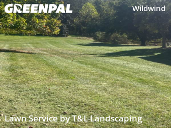 Yard Care Services in Lynchburg, 24503, Yard Mowing by T&L Landscaping , work completed in Nov , 2025