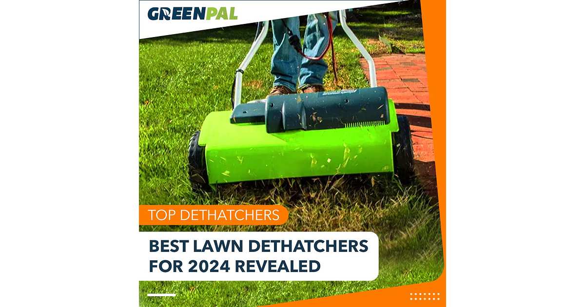 7 Best Dethatchers of 2026 for Easy Lawn Maintenance | GreenPal