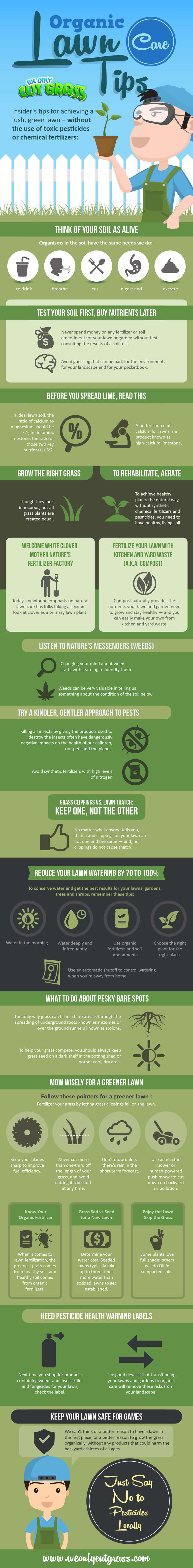 Organic Lawn Care Tips (Infographic)