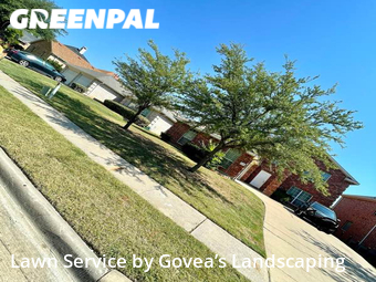 Lawn Service nearby Mesquite, TX, 