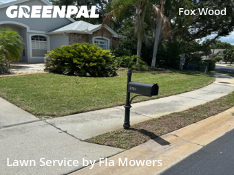 Yard Mowing nearby Trinity, FL, 