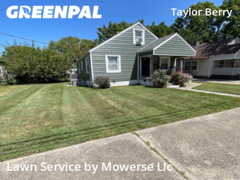 Grass Cut nearby Louisville, KY, 