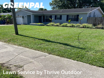 Lawn Mow nearby Tampa, FL, 
