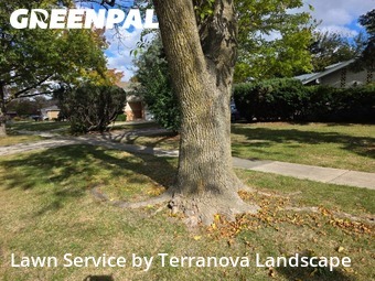 Grass Services in Darien, 60561, Yard Grooming by Terranova Landscape, work completed in Nov , 2025