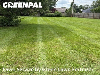 Lawn Care Service nearby Springfield, MO, 