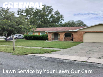 Yard Cutting nearby Lakeland, FL, 