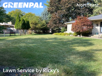 Yard Mowing nearby Grand Rapids, MI, 