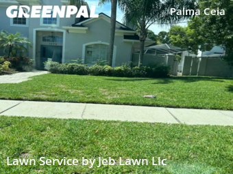 Lawn Cut nearby Tampa, FL, 